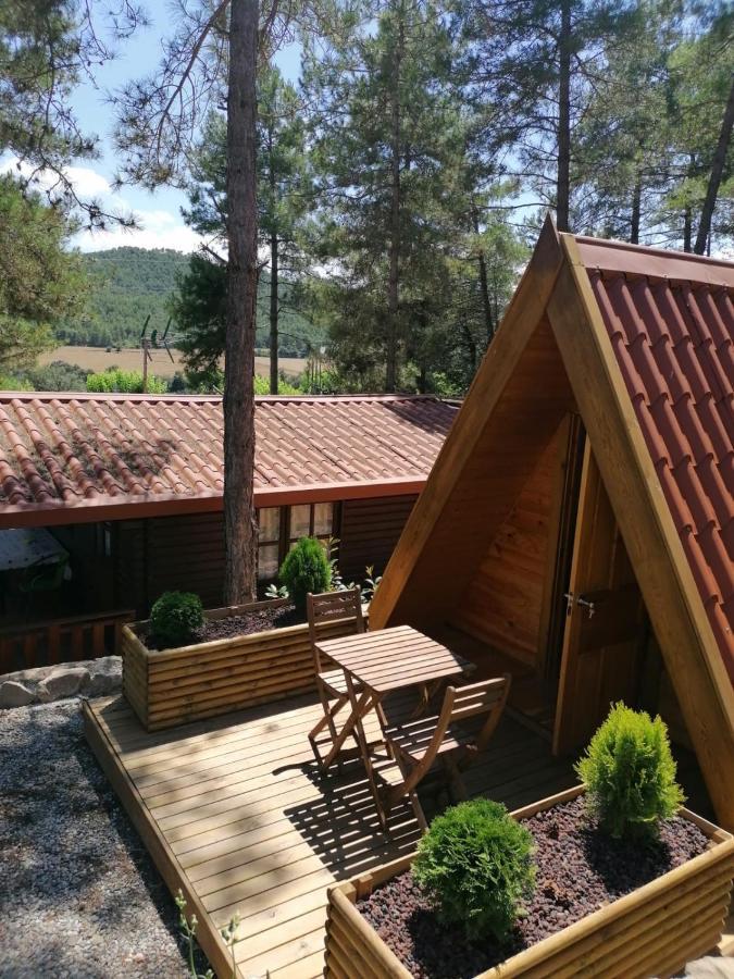 Camping La Ribera Salada Ogern Екстер'єр фото